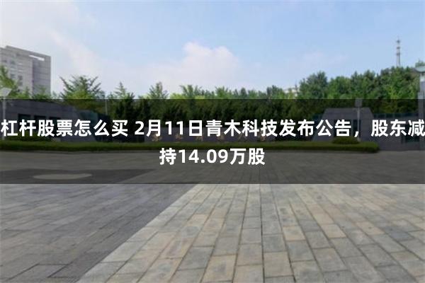 杠杆股票怎么买 2月11日青木科技发布公告，股东减持14.09万股