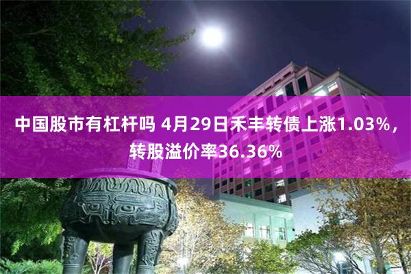中国股市有杠杆吗 4月29日禾丰转债上涨1.03%，转股溢价率36.36%