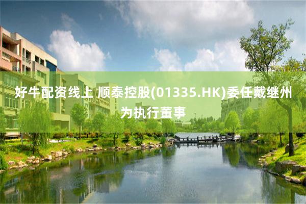 好牛配资线上 顺泰控股(01335.HK)委任戴继州为执行董事