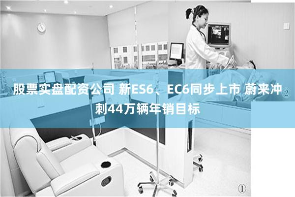股票实盘配资公司 新ES6、EC6同步上市 蔚来冲刺44万辆年销目标