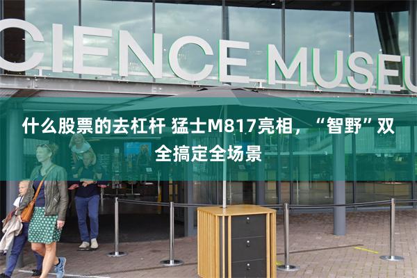 什么股票的去杠杆 猛士M817亮相，“智野”双全搞定全场景