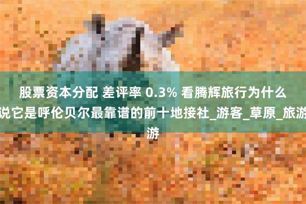 股票资本分配 差评率 0.3% 看腾辉旅行为什么说它是呼伦贝尔最靠谱的前十地接社_游客_草原_旅游