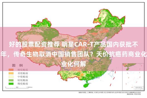 好的股票配资推荐 明星CAR-T产品国内获批不足一年，传奇生物取消中国销售团队？天价抗癌药商业化何解