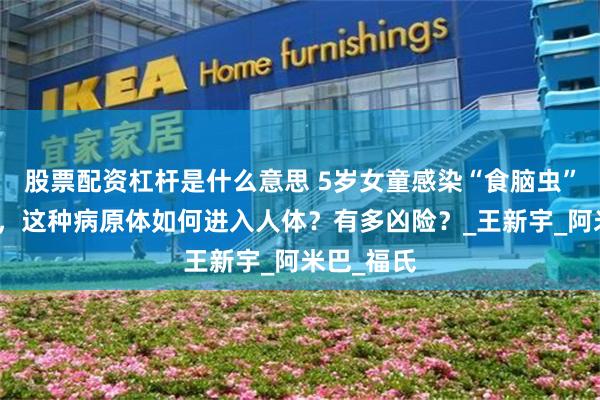 股票配资杠杆是什么意思 5岁女童感染“食脑虫”昏迷不醒，这种病原体如何进入人体？有多凶险？_王新宇_阿米巴_福氏