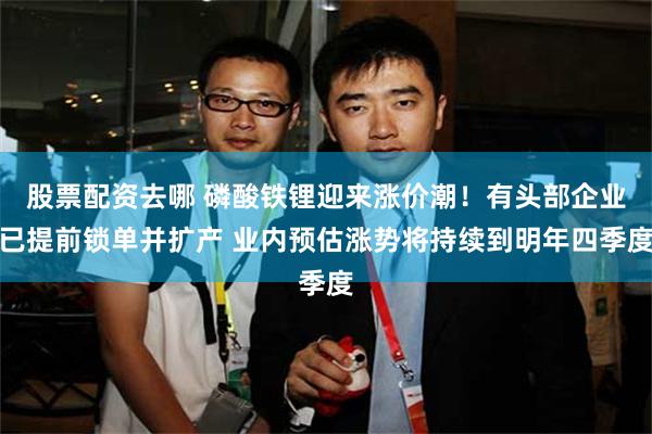 股票配资去哪 磷酸铁锂迎来涨价潮!有头部企业已提前锁单并扩产 业内预估涨势将持续到明年四季度